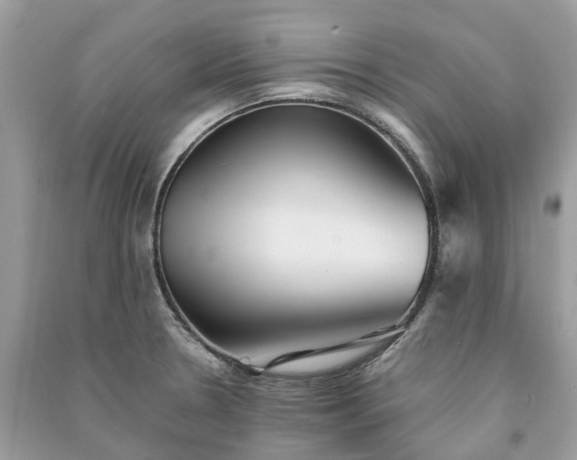 X0000090991330200708091511