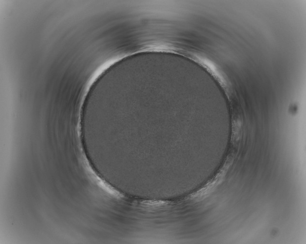 X0000090991331200708091511