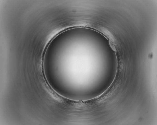 X0000090991332200708091511