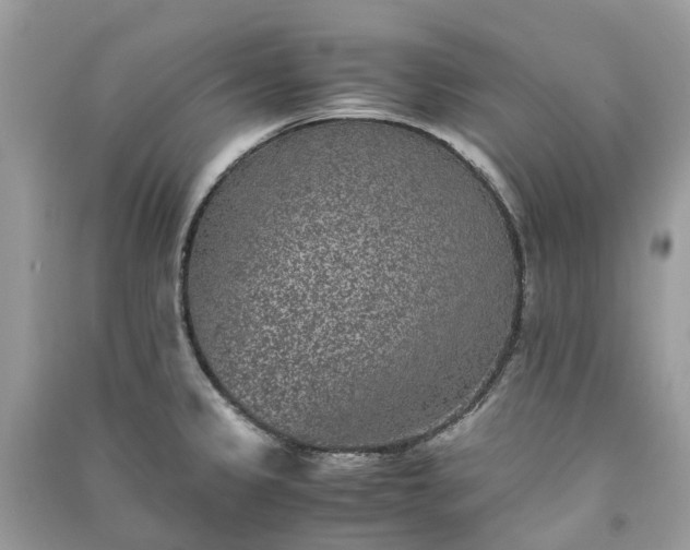 X0000090991333200708091511