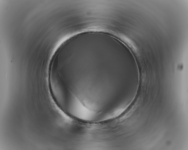 X0000090991334200708091511