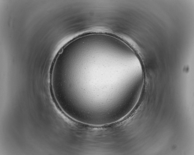 X0000090991335200708091511