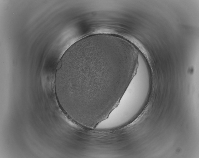 X0000090991337200708091511