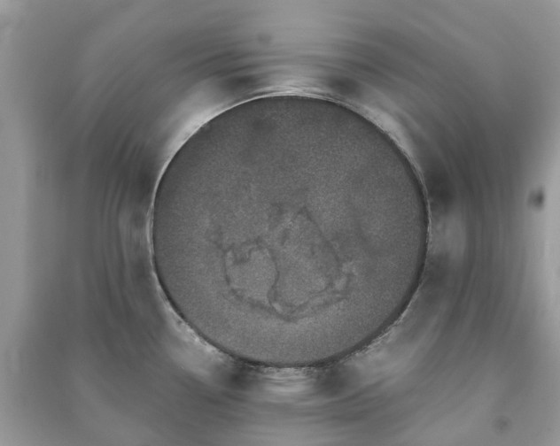 X0000090991338200708091511