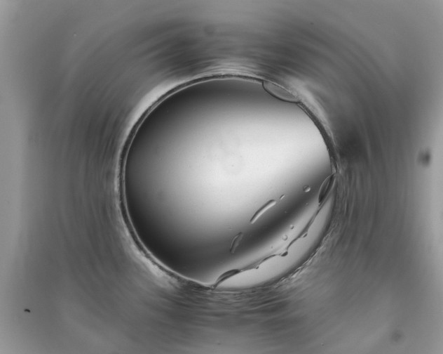 X0000090991339200708091511