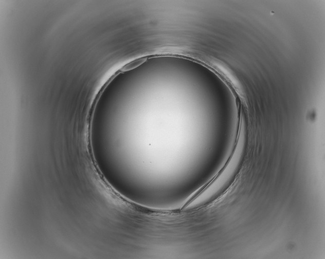 X0000090991340200708091511