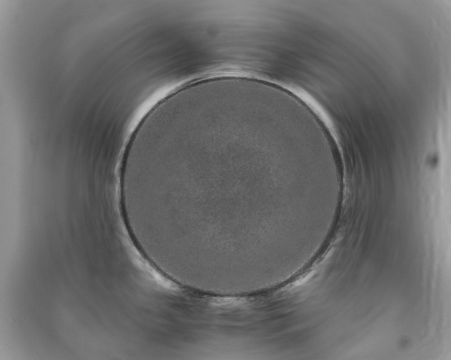 X0000090991341200708091511