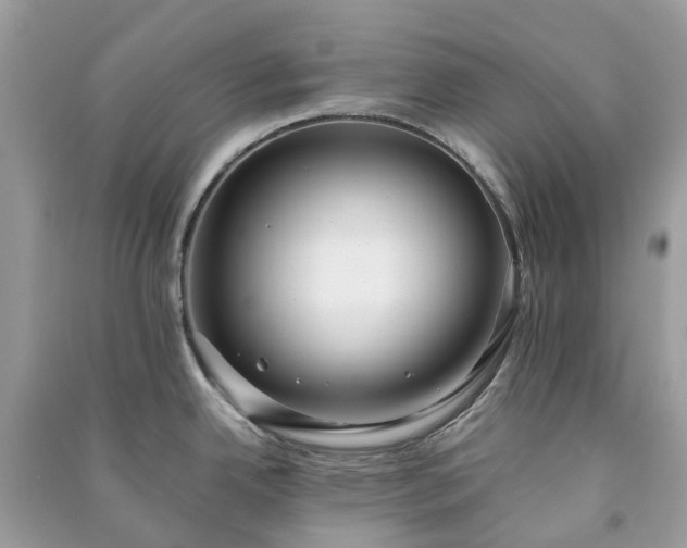 X0000090991342200708091511