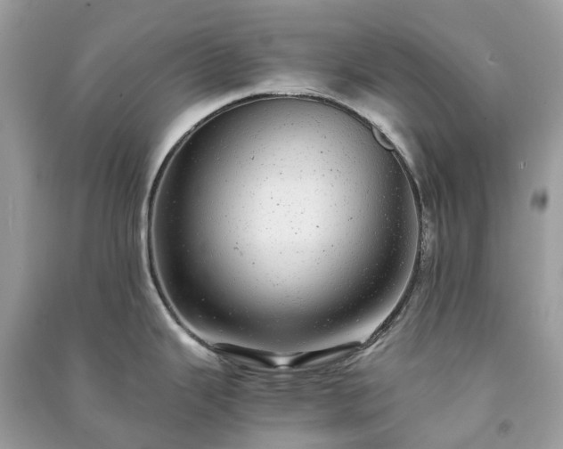 X0000090991343200708091511