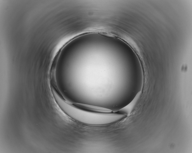 X0000090991344200708091511