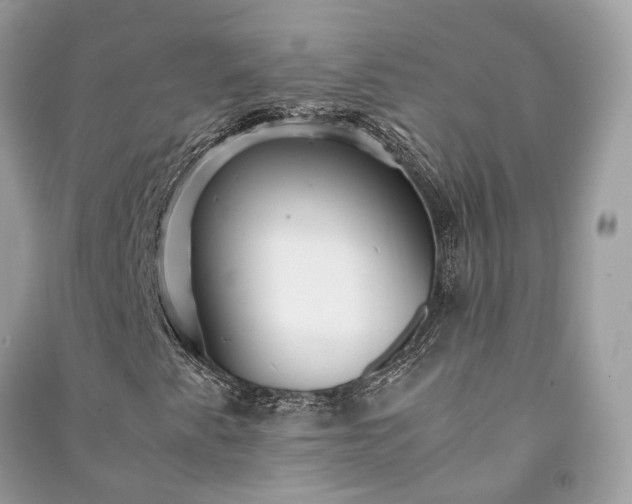 X0000090991345200708091510