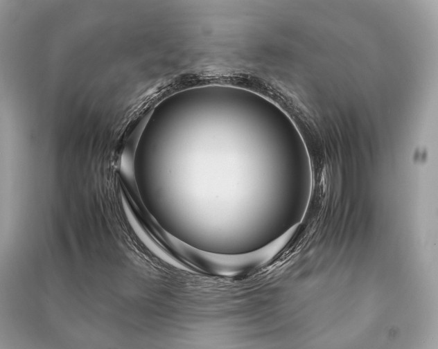 X0000090991348200708091510