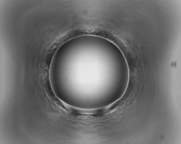 X0000090991349200708091510