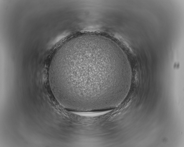 X0000090991350200708091510