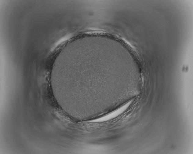 X0000090991351200708091510