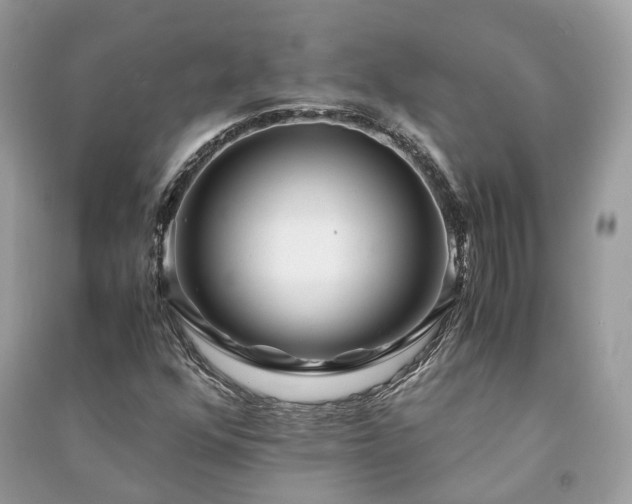 X0000090991352200708091510