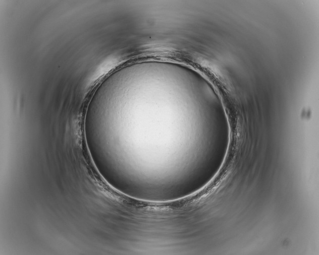 X0000090991354200708091510