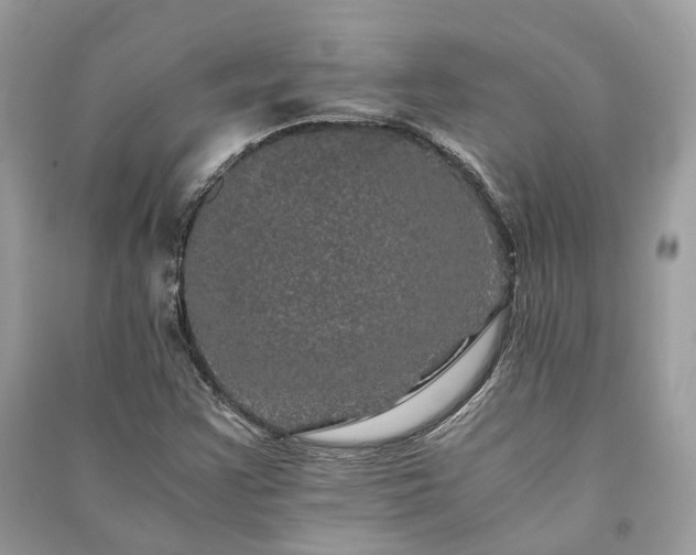 X0000090991355200708091510