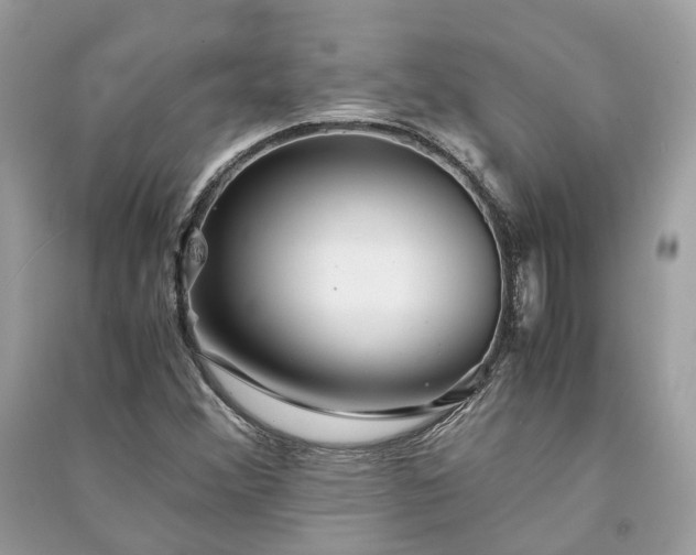 X0000090991356200708091510