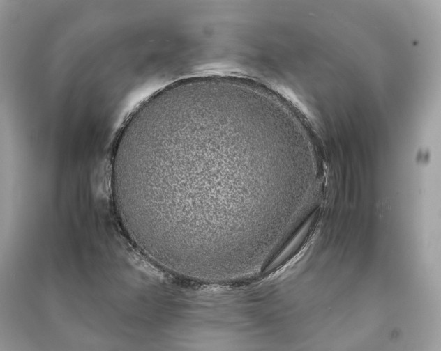 X0000090991358200708091510