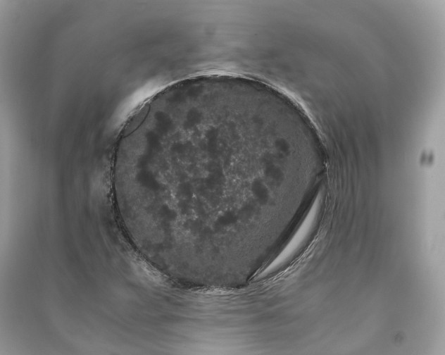 X0000090991359200708091510