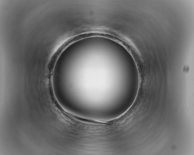 X0000090991360200708091510