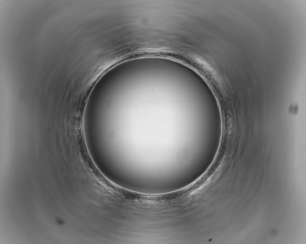 X0000090991361200708091510