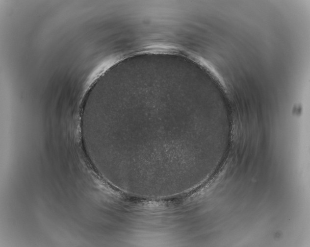 X0000090991362200708091510