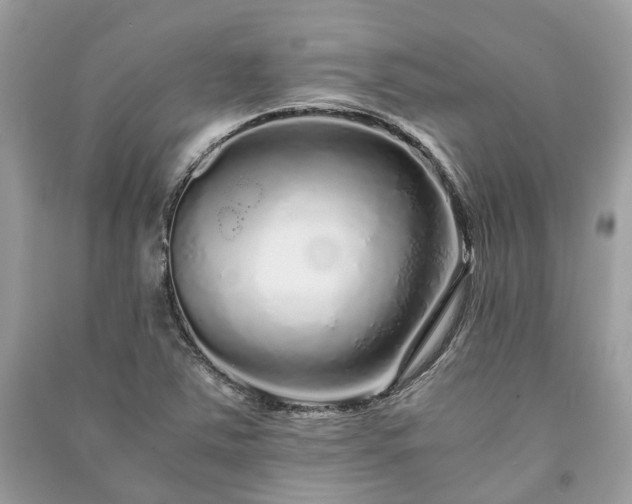 X0000090991363200708091510