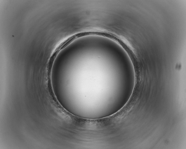 X0000090991364200708091510