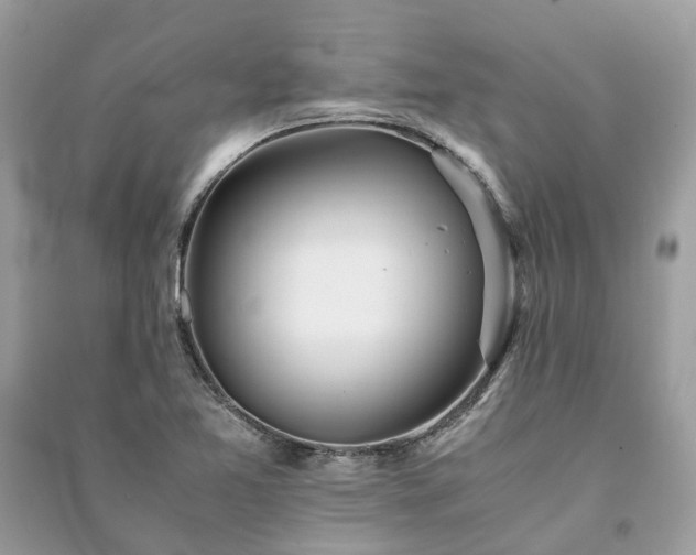 X0000090991365200708091510