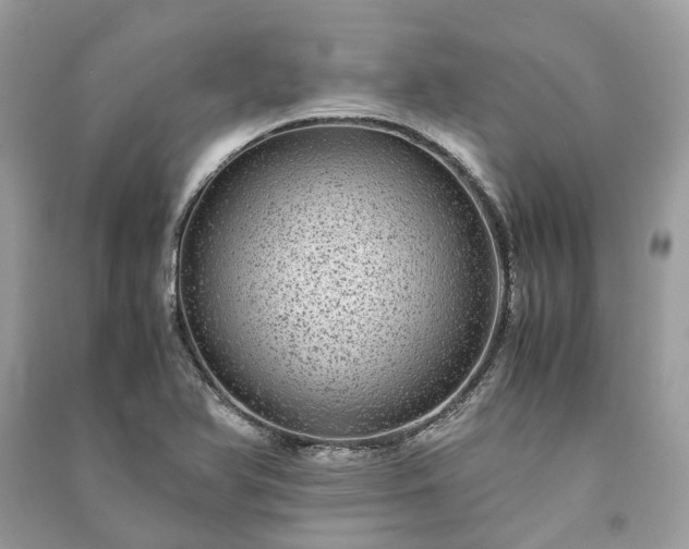 X0000090991366200708091510