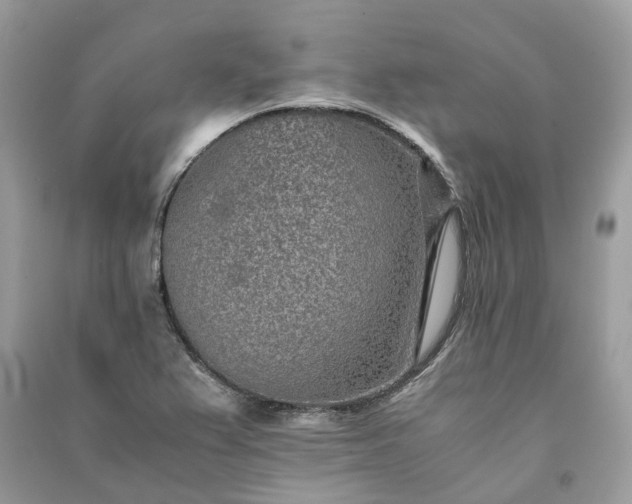 X0000090991367200708091510