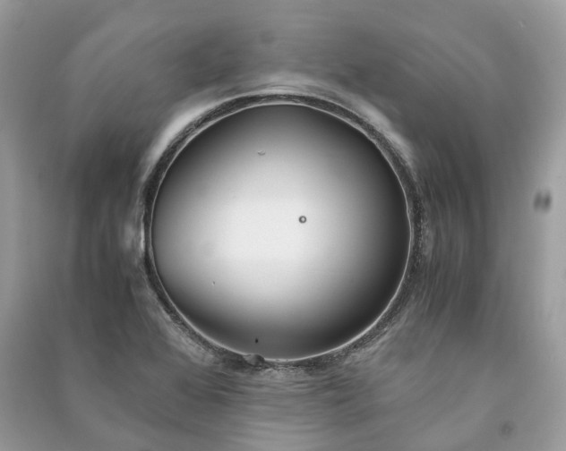 X0000090991368200708091510