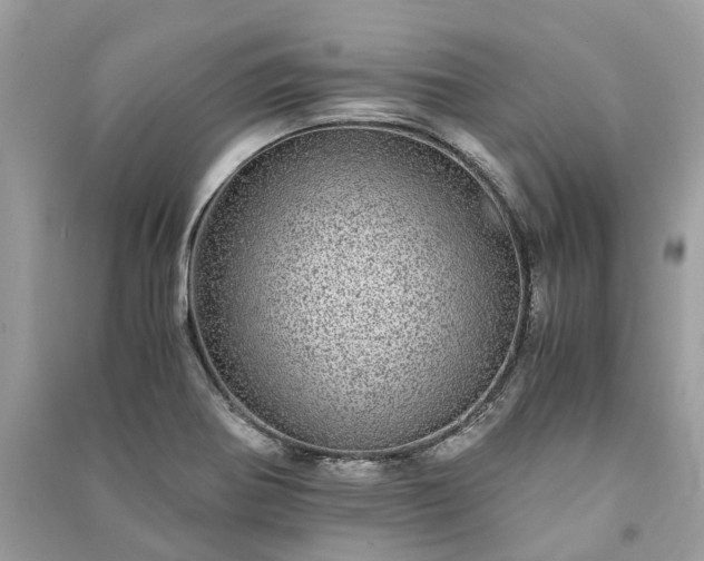 X0000090991370200708091510