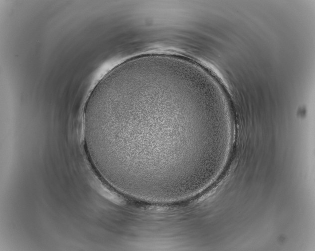 X0000090991371200708091510