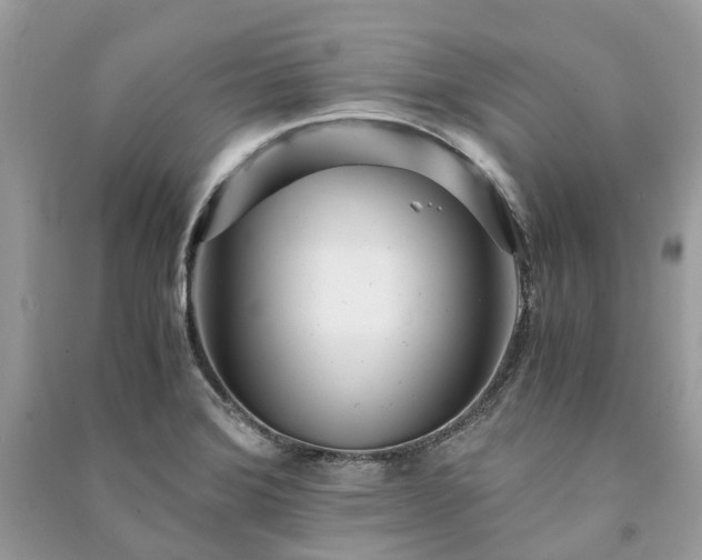 X0000090991372200708091510