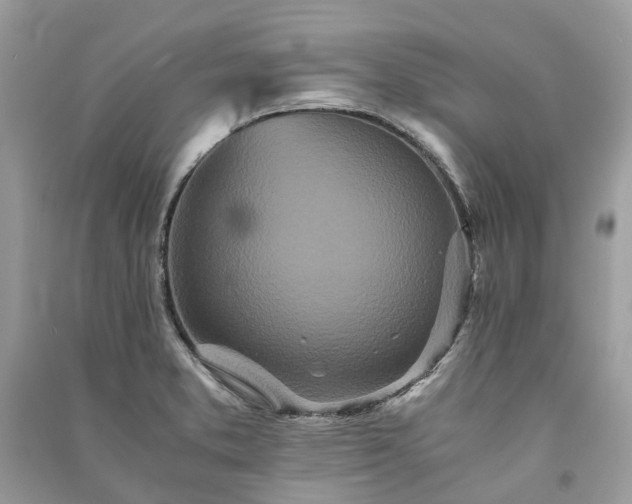 X0000090991373200708091510