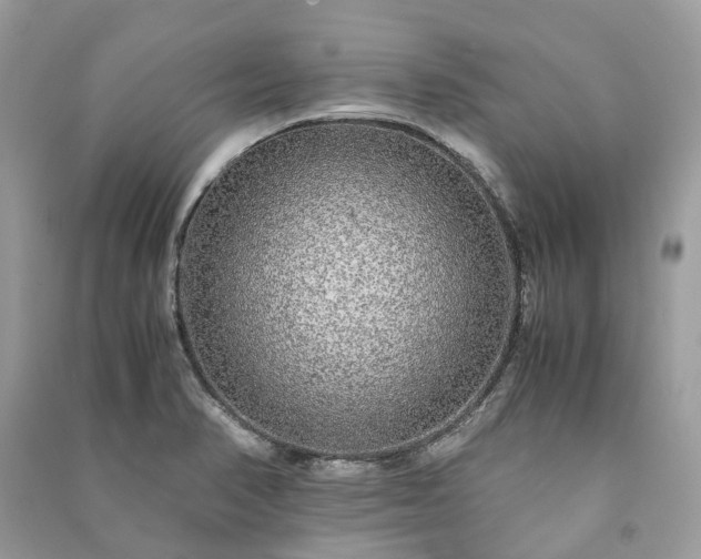 X0000090991374200708091510