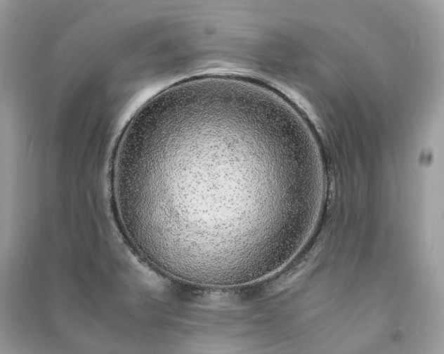 X0000090991375200708091510