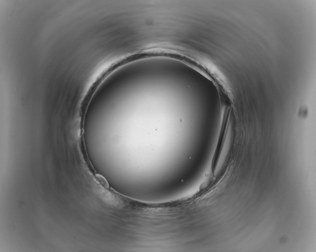 X0000090991376200708091510