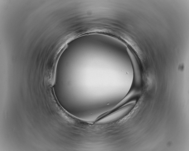 X0000090991377200708091510