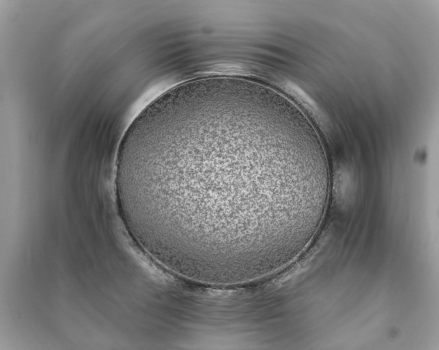 X0000090991378200708091510