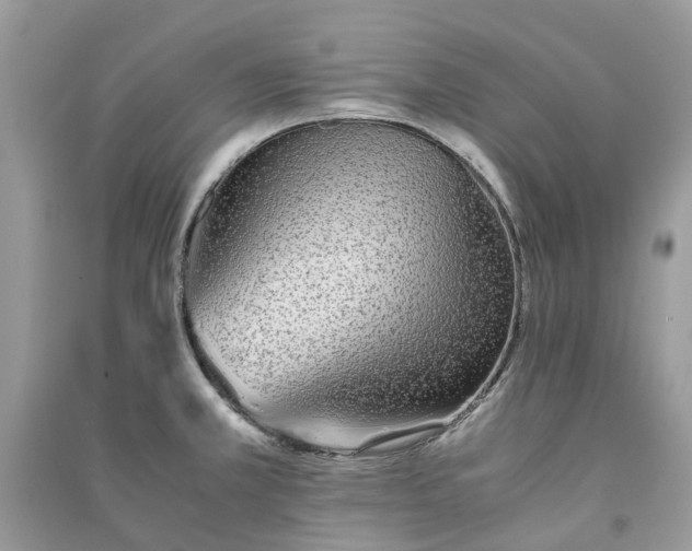 X0000090991381200708091510