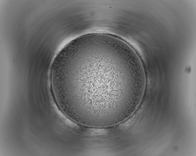 X0000090991382200708091510