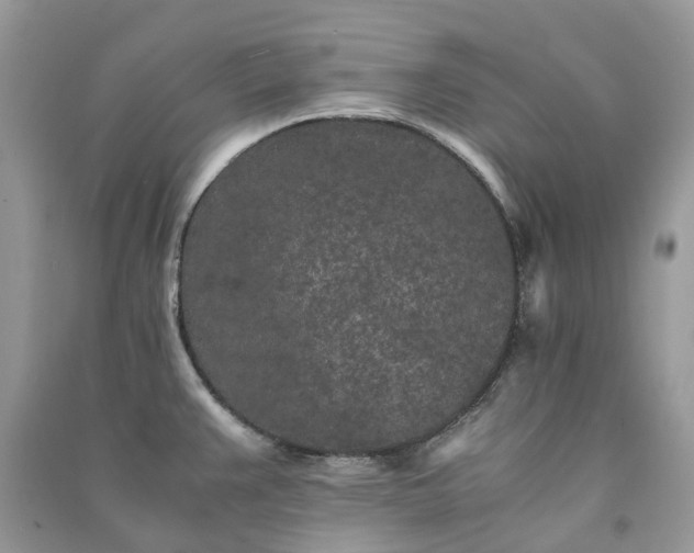 X0000090991383200708091510