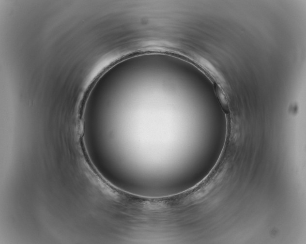 X0000090991384200708091510