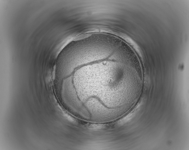 X0000090991385200708091510