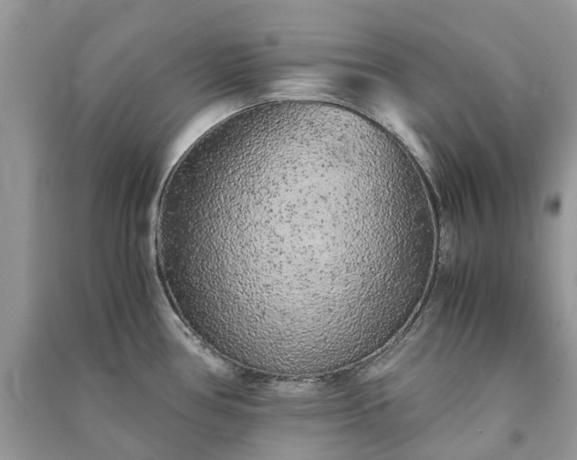 X0000090991386200708091510