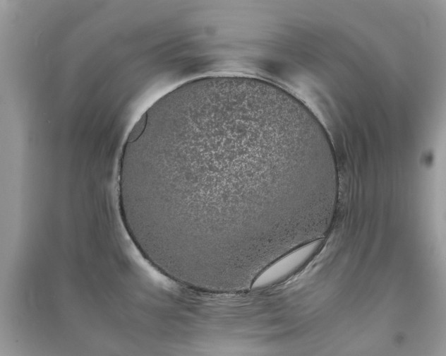 X0000090991387200708091510